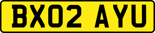 BX02AYU