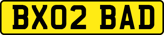BX02BAD