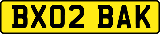 BX02BAK