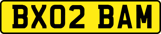 BX02BAM