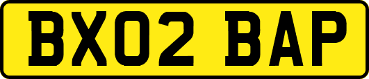 BX02BAP