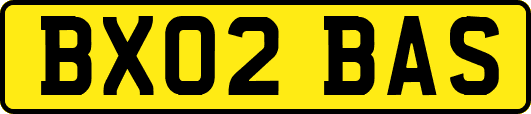 BX02BAS