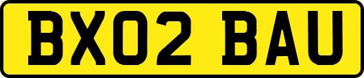 BX02BAU
