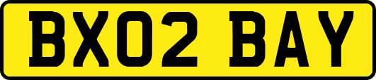 BX02BAY