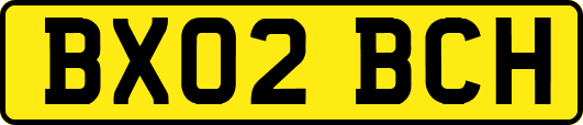 BX02BCH