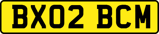 BX02BCM