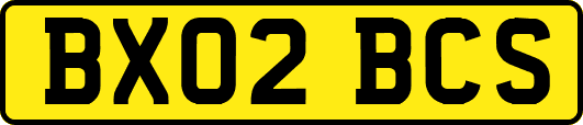 BX02BCS