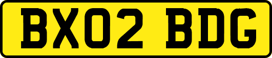 BX02BDG