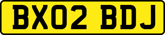BX02BDJ