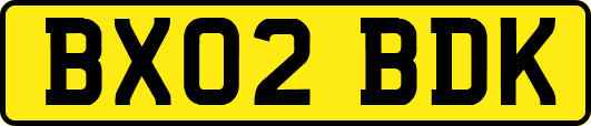 BX02BDK