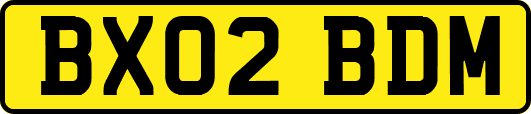 BX02BDM