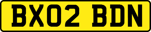 BX02BDN
