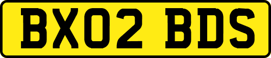 BX02BDS