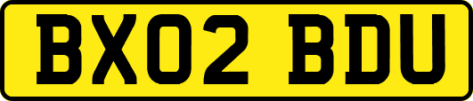 BX02BDU