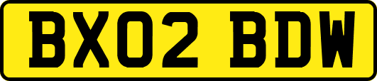 BX02BDW