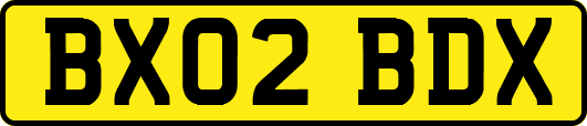 BX02BDX