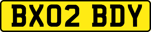 BX02BDY