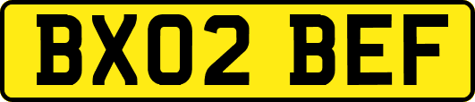 BX02BEF