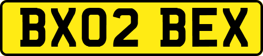 BX02BEX