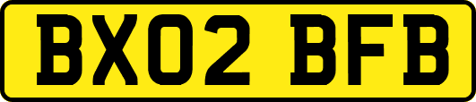 BX02BFB