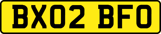 BX02BFO