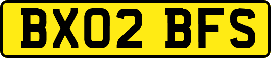 BX02BFS