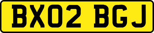 BX02BGJ