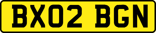 BX02BGN