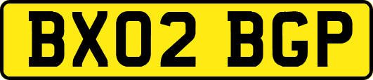 BX02BGP