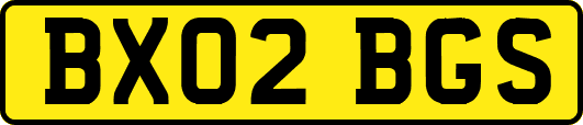 BX02BGS