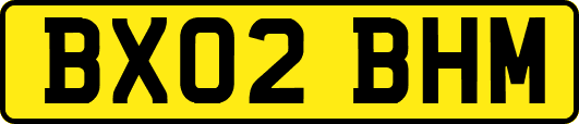 BX02BHM