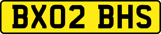 BX02BHS
