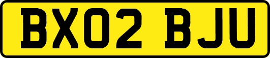 BX02BJU