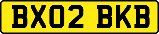 BX02BKB