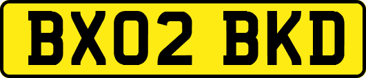 BX02BKD