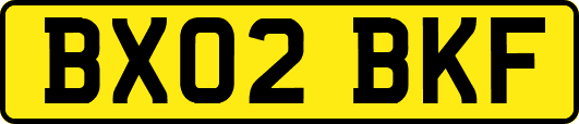 BX02BKF