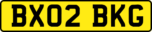 BX02BKG
