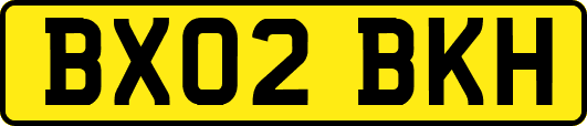BX02BKH