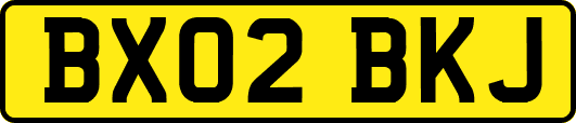 BX02BKJ