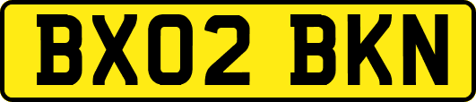 BX02BKN