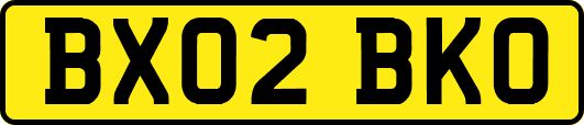 BX02BKO