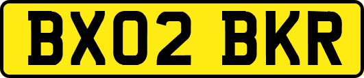 BX02BKR