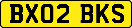 BX02BKS