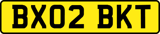 BX02BKT