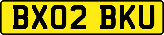 BX02BKU