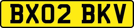BX02BKV