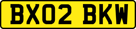 BX02BKW