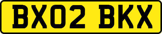 BX02BKX