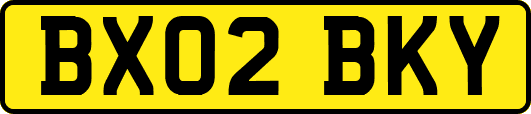 BX02BKY