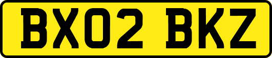 BX02BKZ